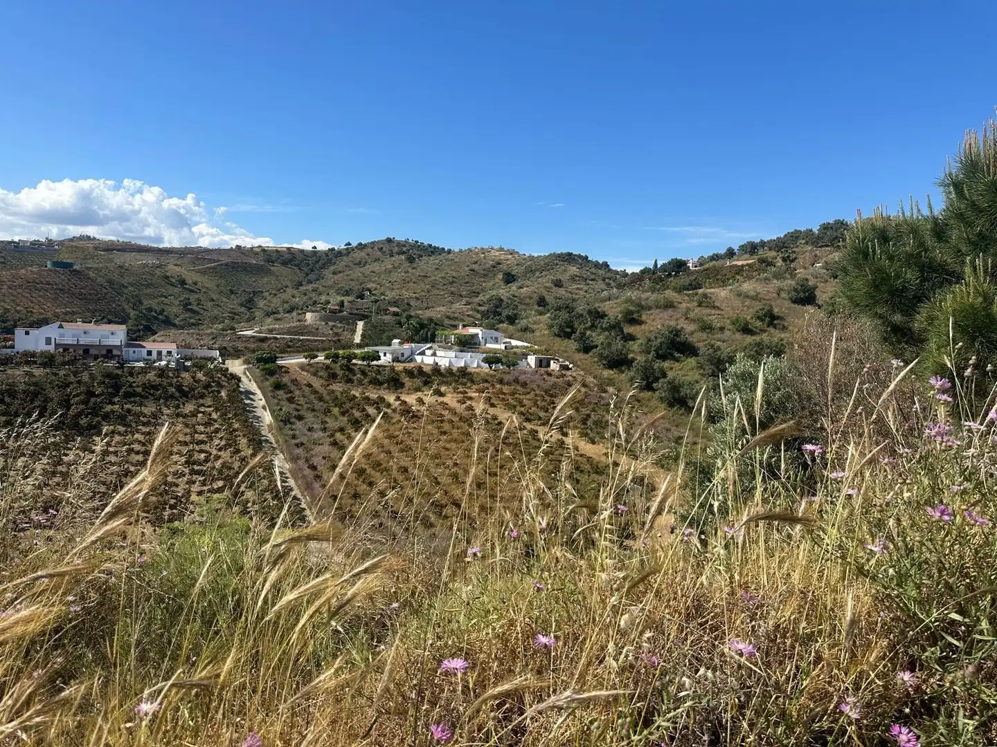 Landhaus zum Verkauf in Vélez-Málaga ciudad, imagen 2