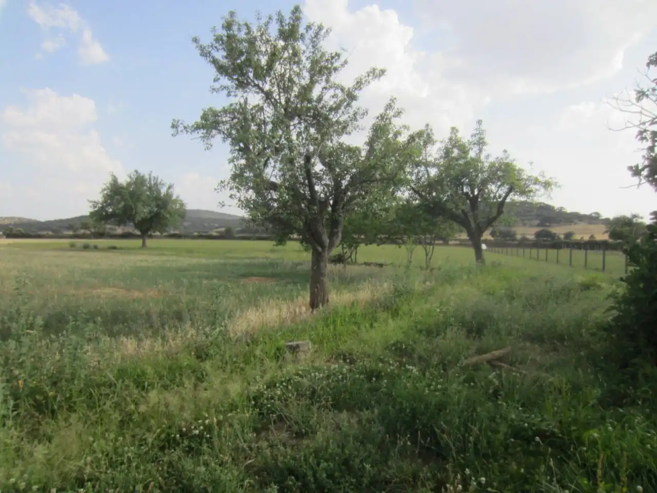 Terreno rustico in vendita a Calle RONDA DEL MEDIODIA, imagen 24