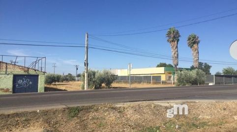 Cedillo del CondadoTerreno, immagine 4