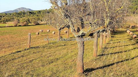 Foto 2 de Residencial en venta en S'Horta - Cas Concos des Cavaller - Es Carritxó, Felanitx