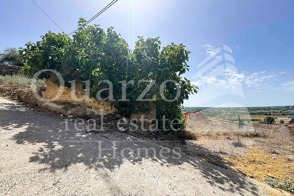 House with garden for sale in Calle Proyecto Número 3, imagen 10