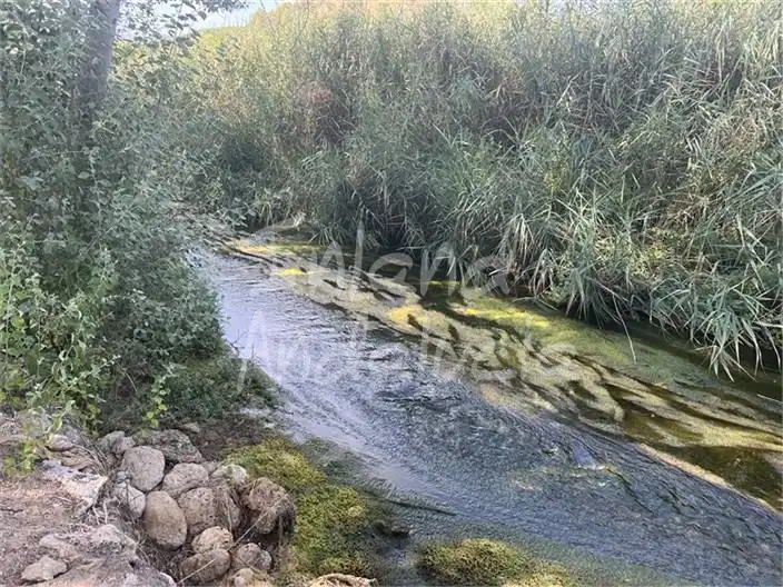 Chalet en venta en Priego de Córdoba, imagen 2