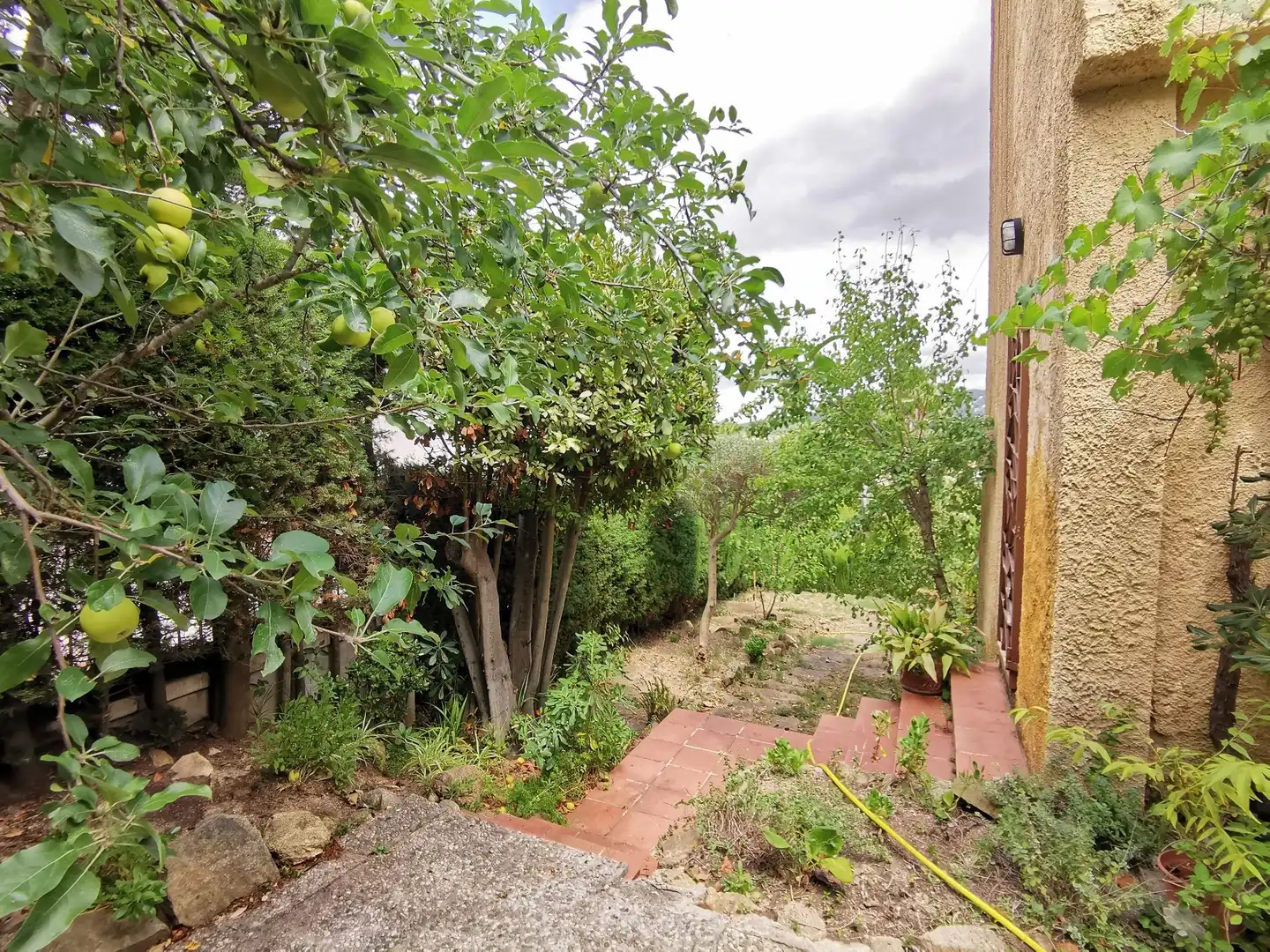Casa o xalet en venda a Condado del Jaruco - Puigventós