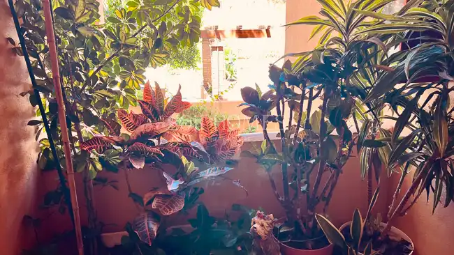 Mini appartamento con terrazza in vendita a Calle Topacio 8, imagen 12