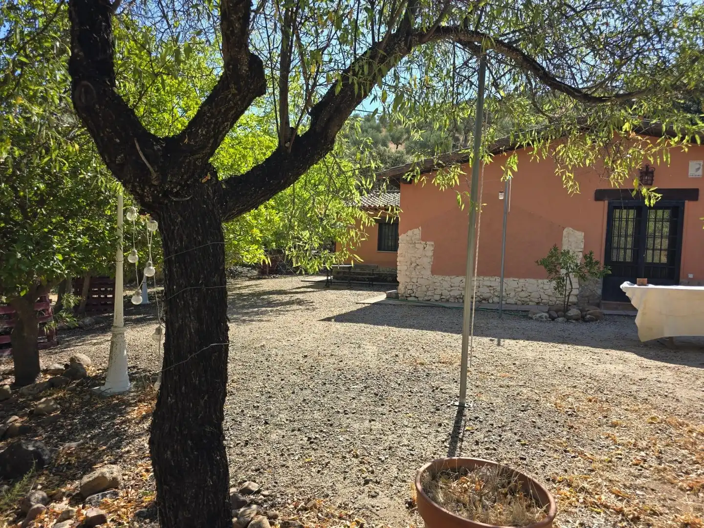 Finca rústica en venda a Belvís de la Jara