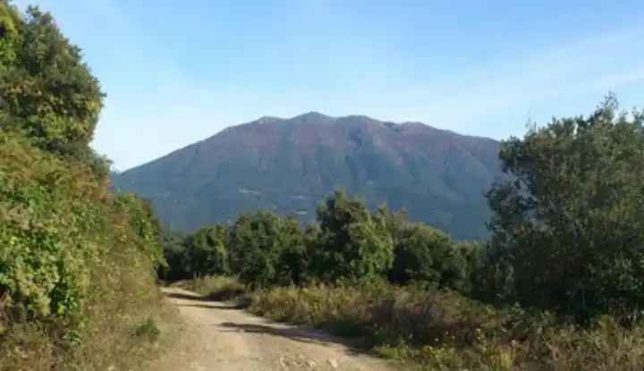 Residential land for sale in Carrer Pla de la Calma, imagen 15