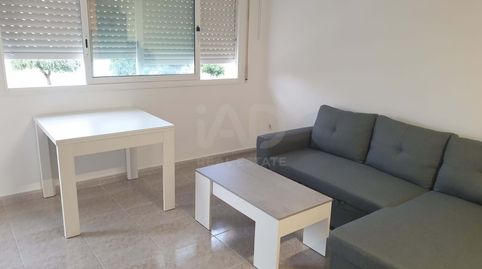 Photo 3 of Flat for sale in Pino Alto, Mont-roig del Camp