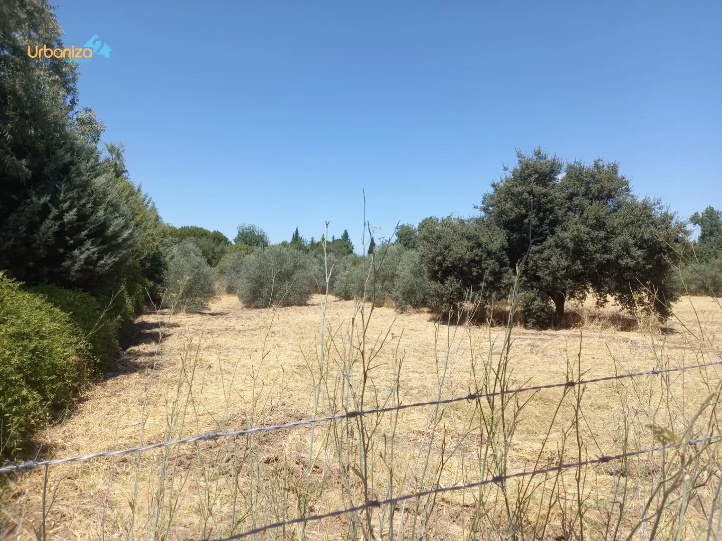 Terreni e lotti in vendita a Dehesilla de Calamón - Campomanes, imagen 6