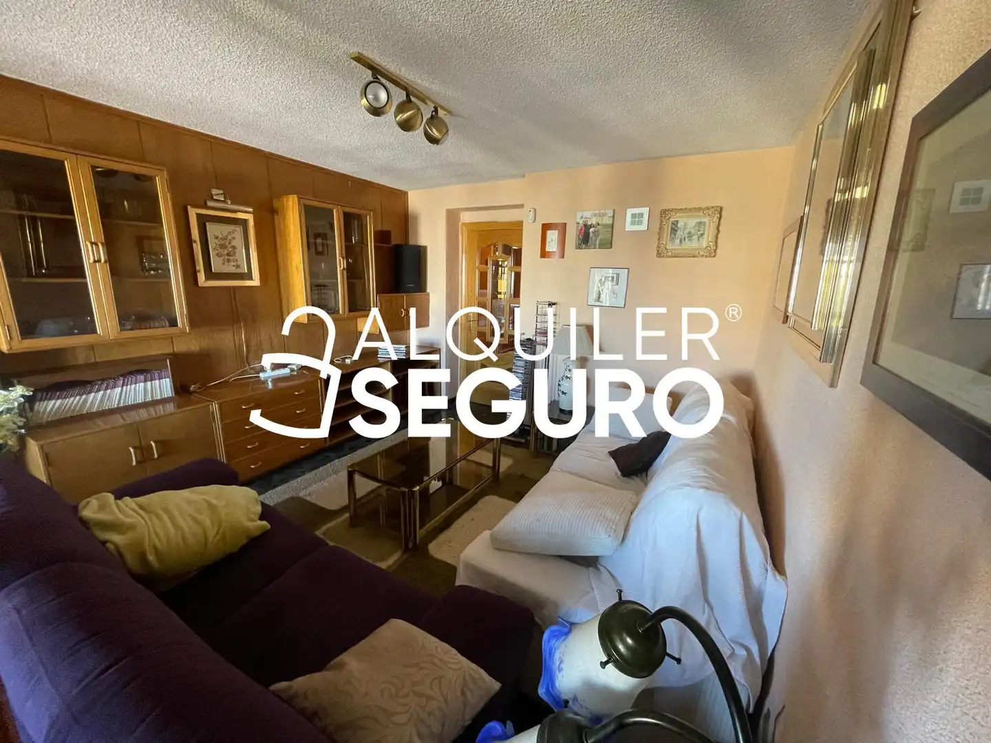 Sala de estar de Piso de alquiler en Madrid con Calefacción, Terraza y Amueblado