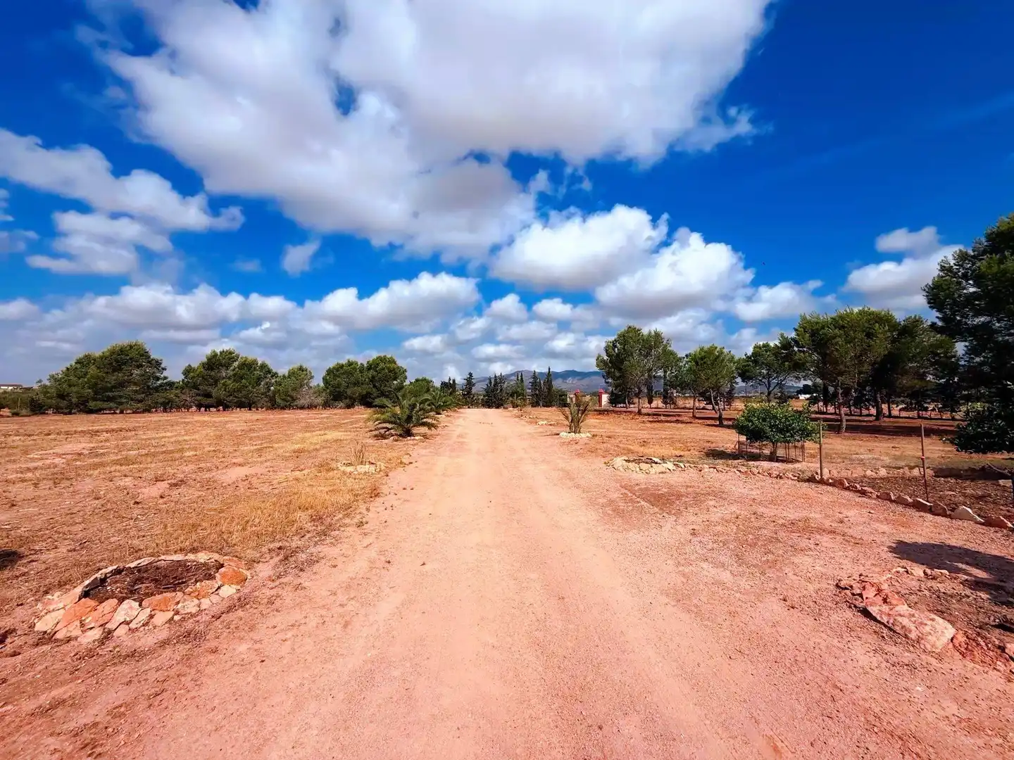 Finca rústica en venda en Murcia amb Piscina