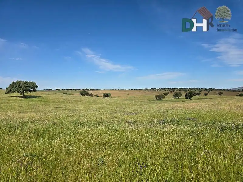 Terreni e lotti in vendita a San Roque - Ronda Norte, imagen 7