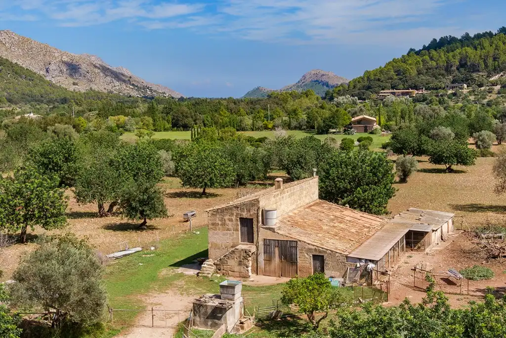 Vista exterior de Finca rústica en venta en Pollença con Jardín privado