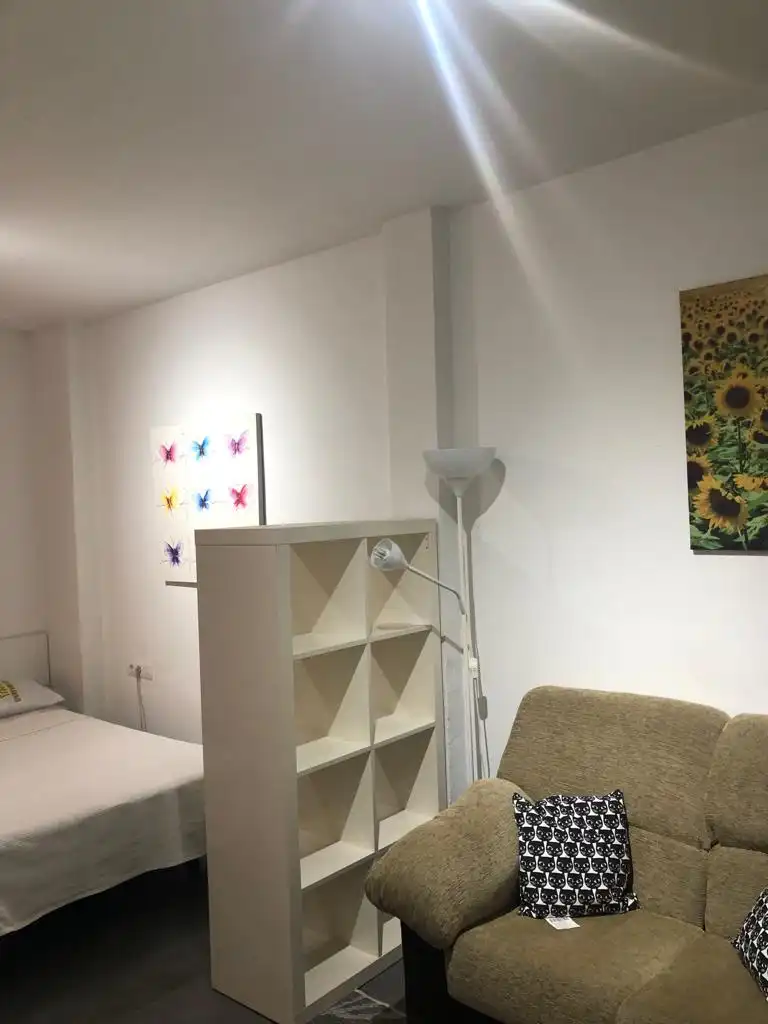 Studio avec ascenseur à louer à Calle Portería de Santo Domingo, imagen 2