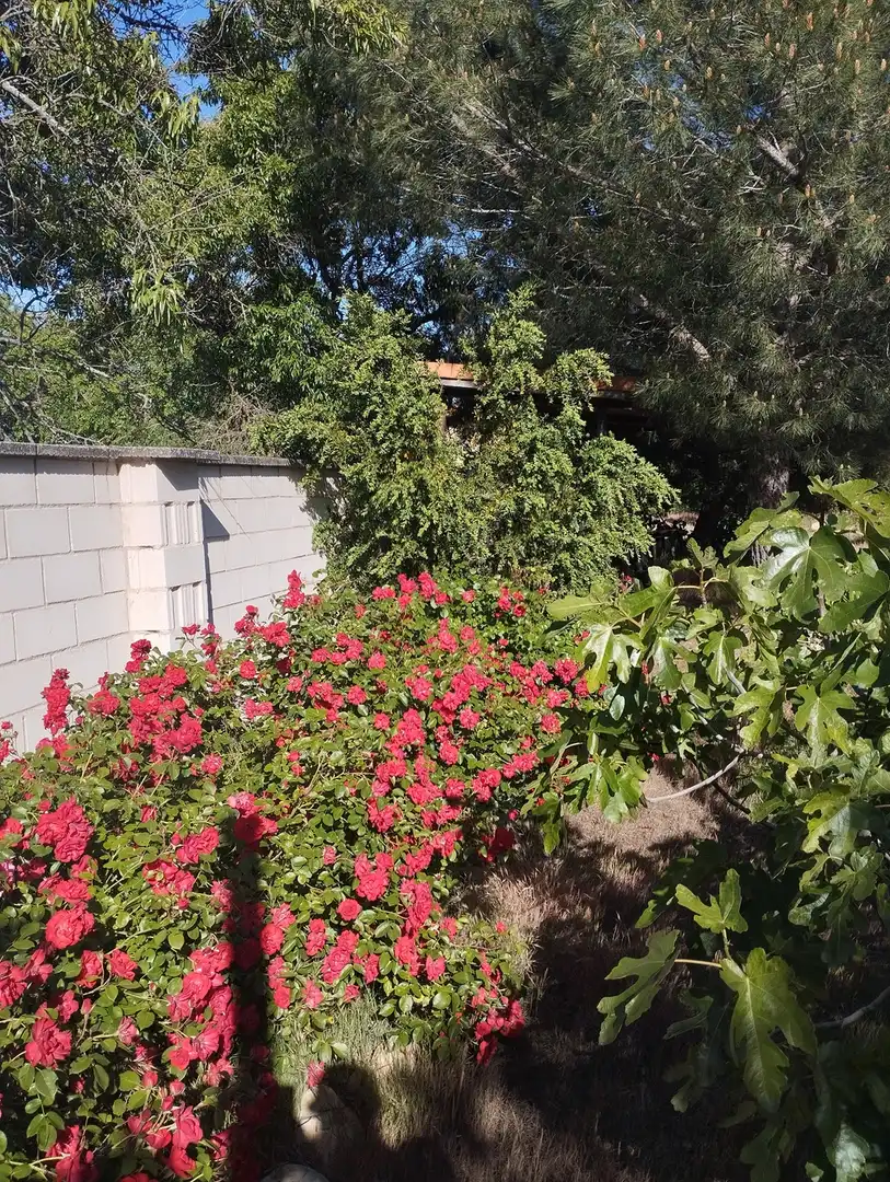 House for sale in Paseo de la estación, imagen 22