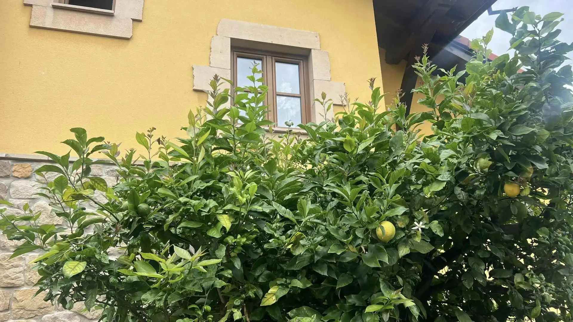 Außenansicht von Haus oder Chalet zum Verkauf in Suances mit Heizung, Privatgarten und Parkett