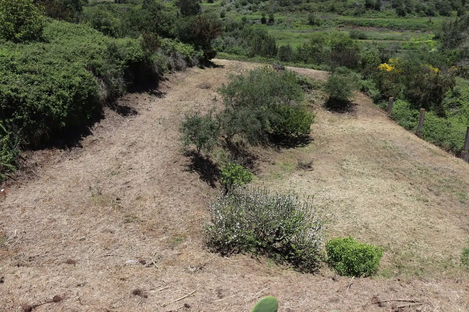 Residencial en venta en Los Silos