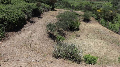 Photo 5 of Residential for sale in N/a, Los Silos, Santa Cruz de Tenerife