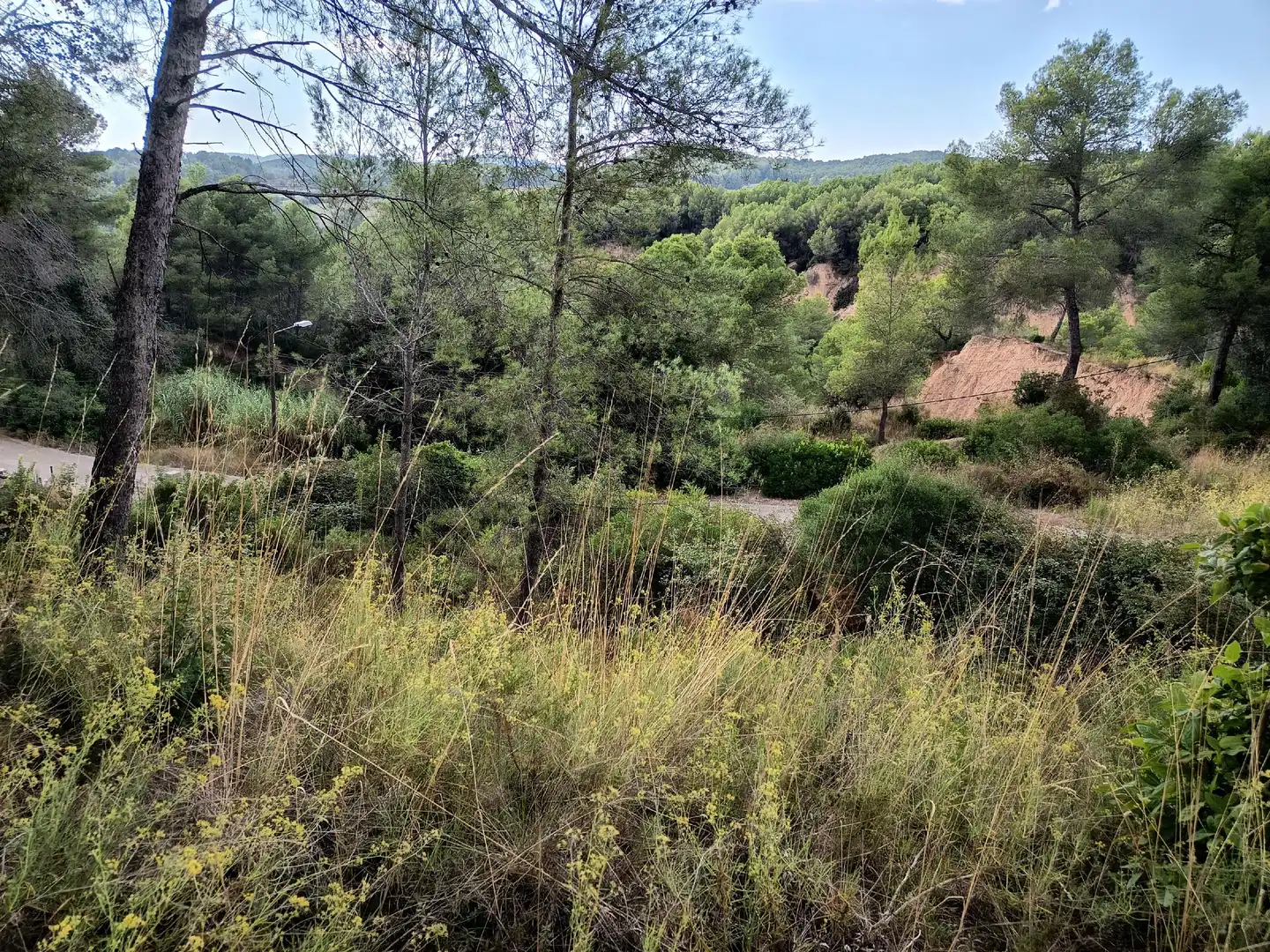 Terrain rustique à vendre à Piera, imagen 5