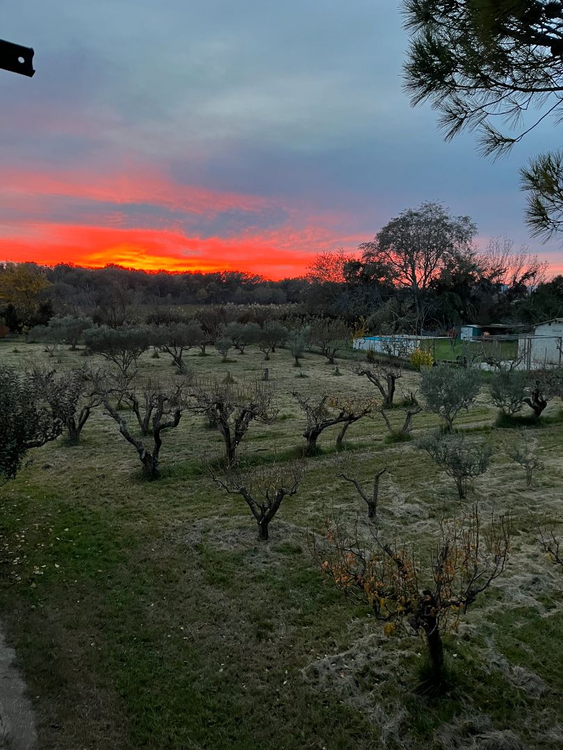 Jardín de Terreno en venta en Pastriz