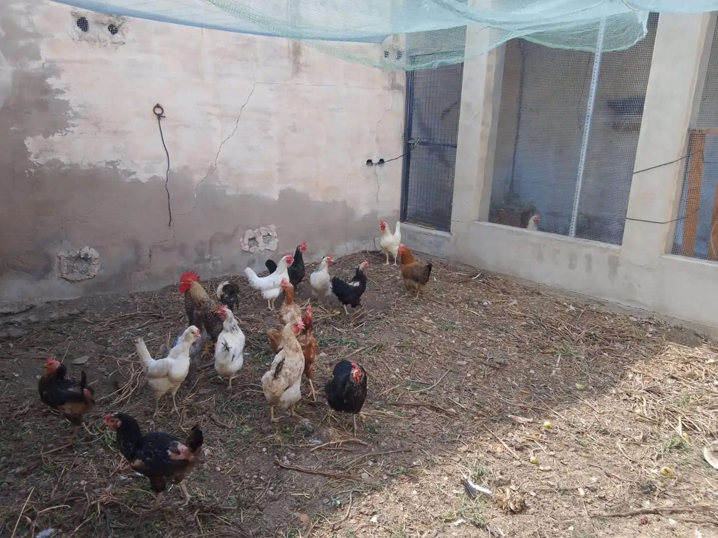 Terreno rustico in vendita a N/A, imagen 77