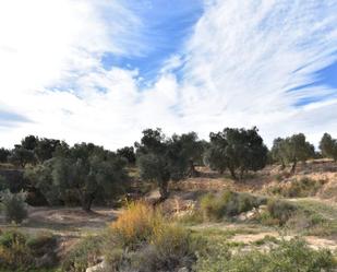 Terreny en venda en Calaceite