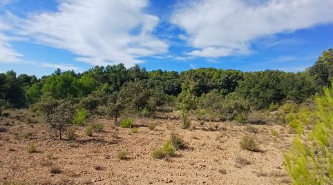 Finca rústica en Ráfales, immagine 2