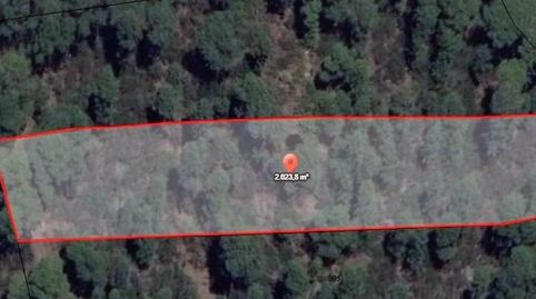 Foto 3 de Terreno en venta en La Vega - El Amparo - Cueva del Viento, Icod de los Vinos