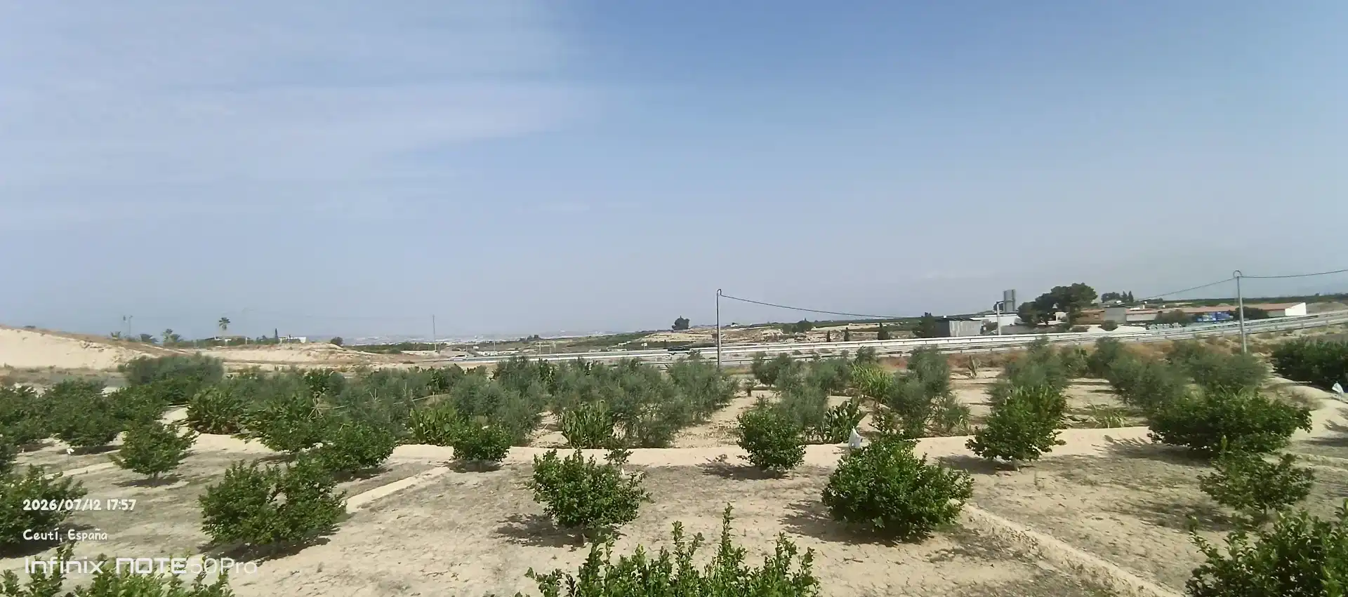 Finca rústica en venda en Cieza