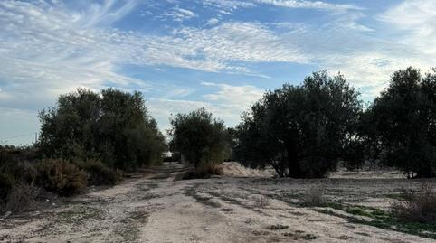 Foto 2 de Casa o xalet en venda a Algorós - El Derramador, Alicante