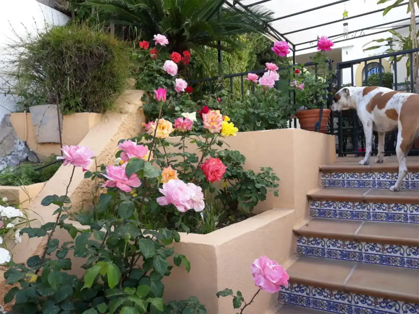 Jardí de Casa adosada en venda en Mijas amb Aire condicionat i Balcó