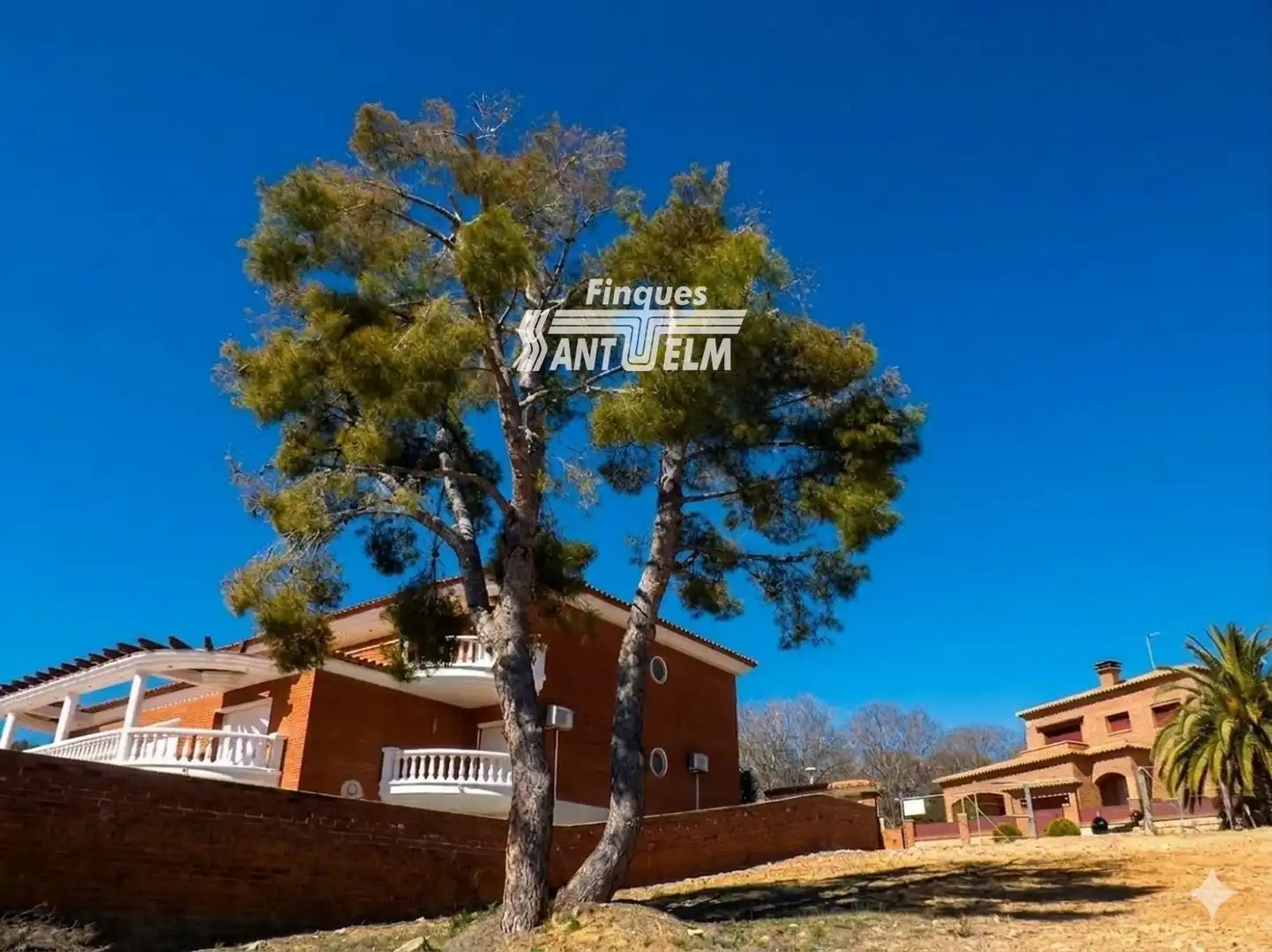 Rural land for sale in Guardies 3, imagen 6