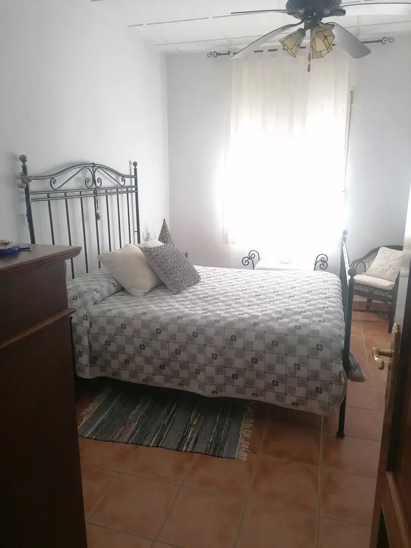 Chalet con jardín en venta en La Carlota, imagen 15