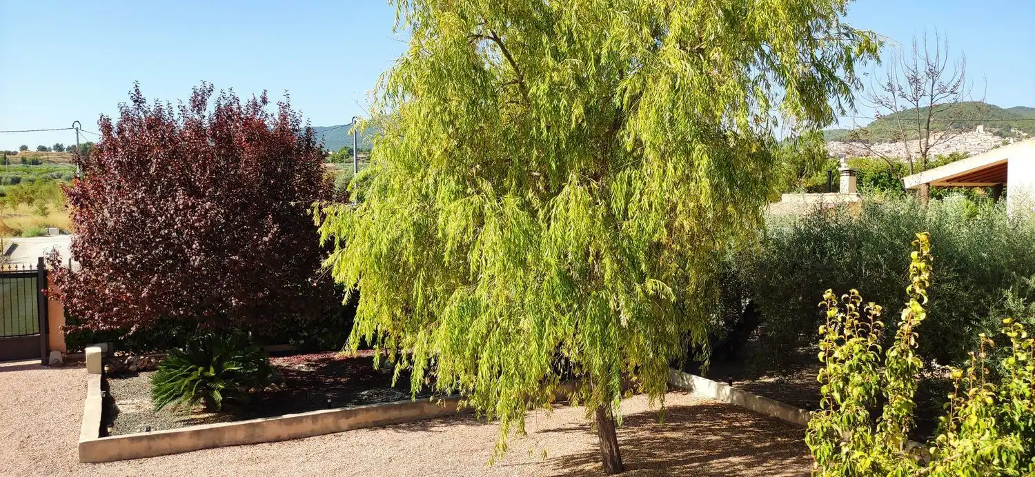 Chalet con piscina en venta en Moratalla, imagen 41