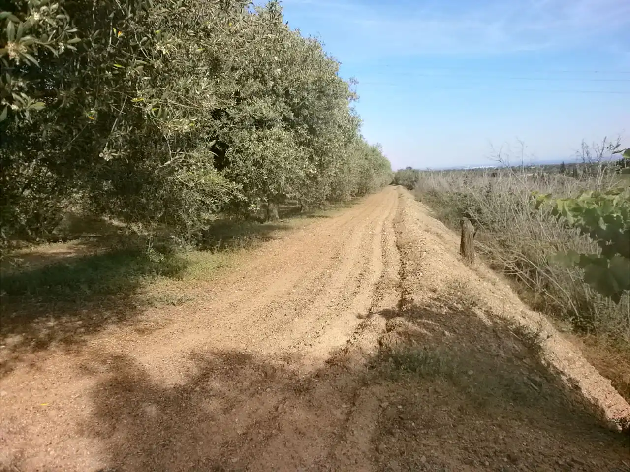 Rural land for sale in Camí del Recreo 25, imagen 21
