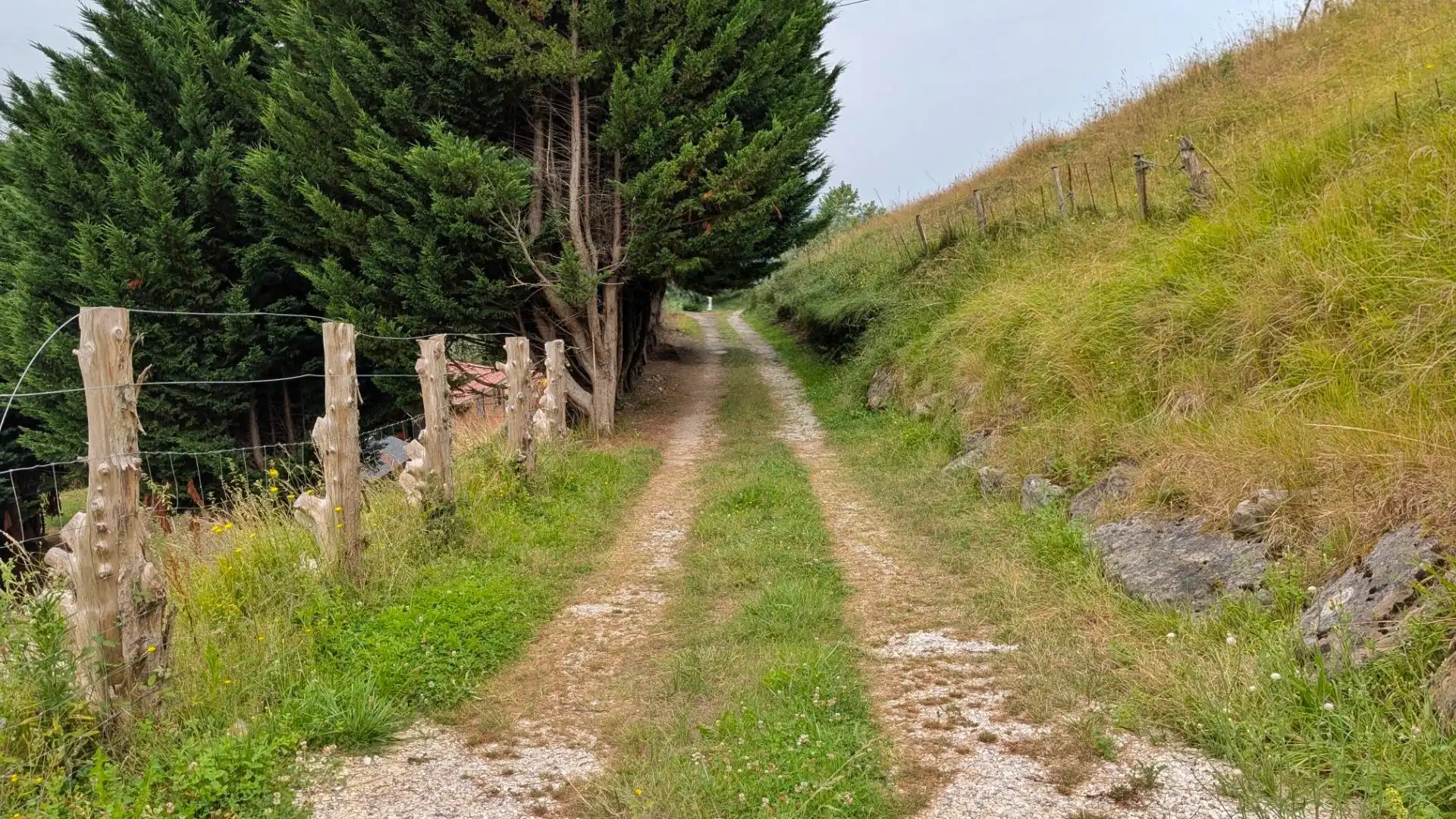 Vista exterior de Finca rústica en venta en Torrelavega  con Jardín privado