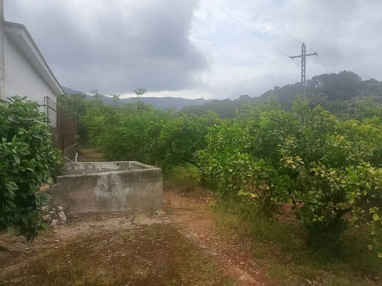 Terrain rustique à vendre à Calle Cami Rural Rotova, imagen 23