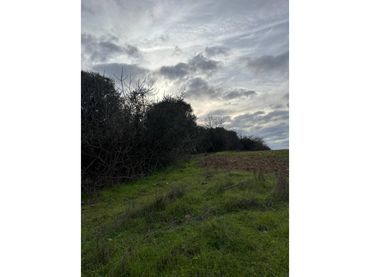 Rural land for sale in San Bartolomé de la Torre