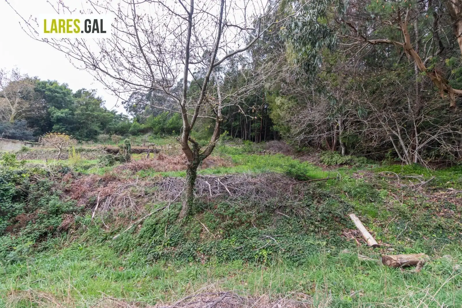 Residential land for sale in Rúa Ourelo, imagen 16
