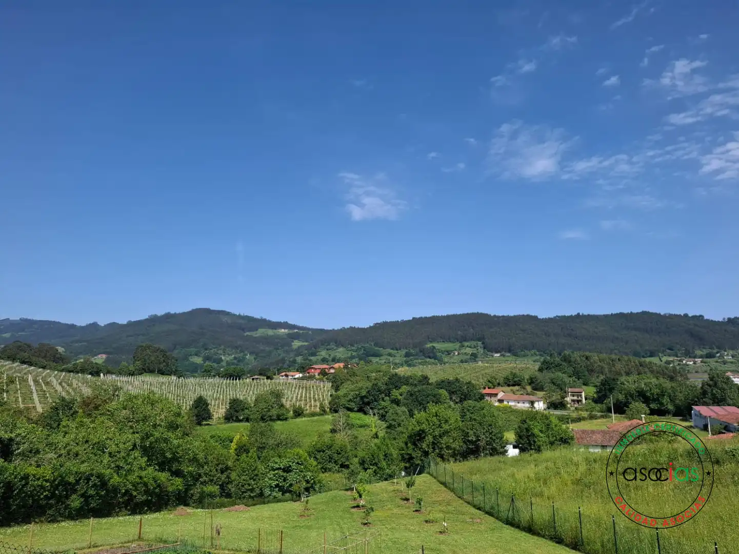 Vista exterior de Casa adosada en venta en Villaviciosa con Calefacción y Trastero