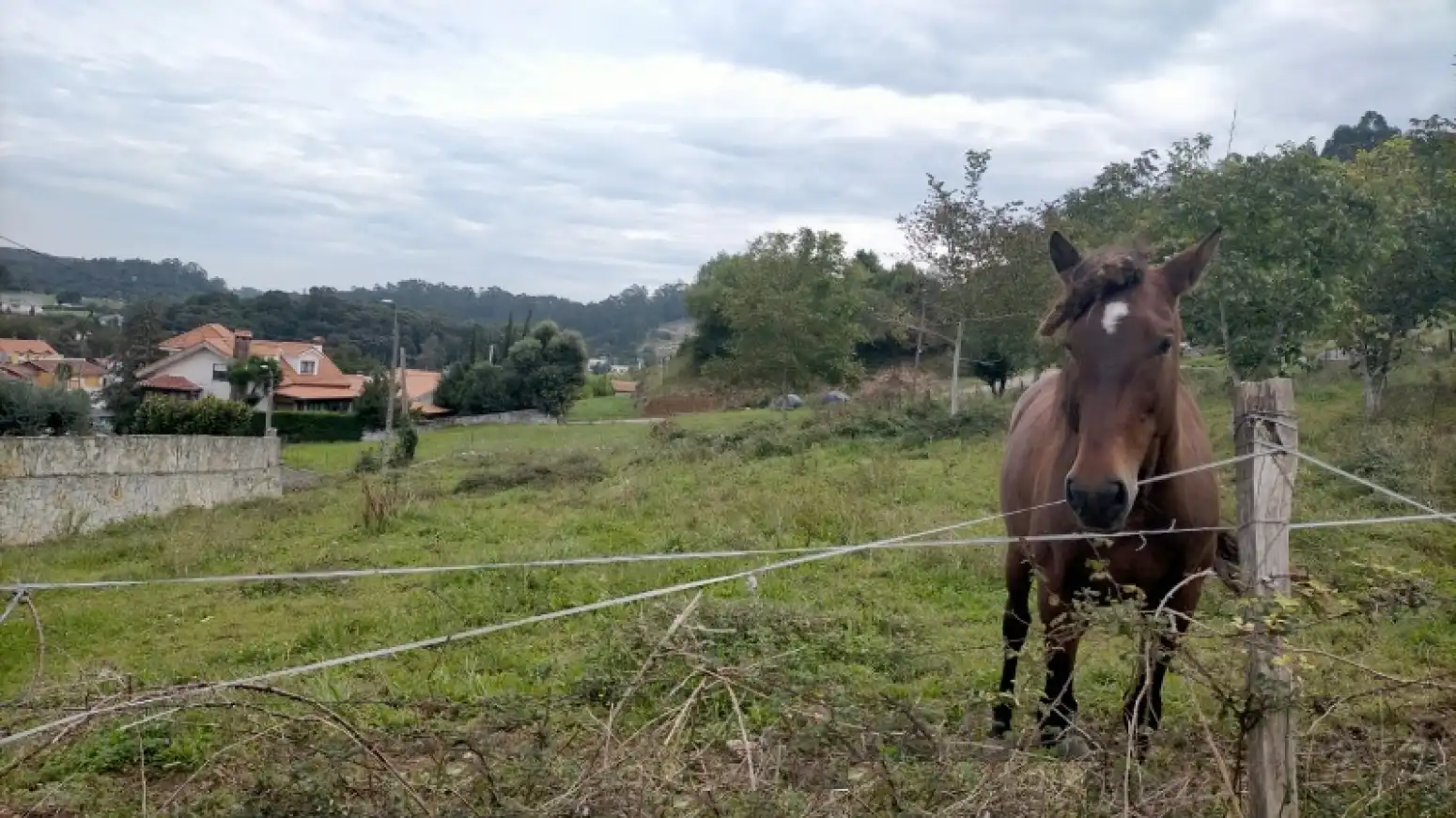 Terreni e lotti in vendita a Escobedo, imagen 5