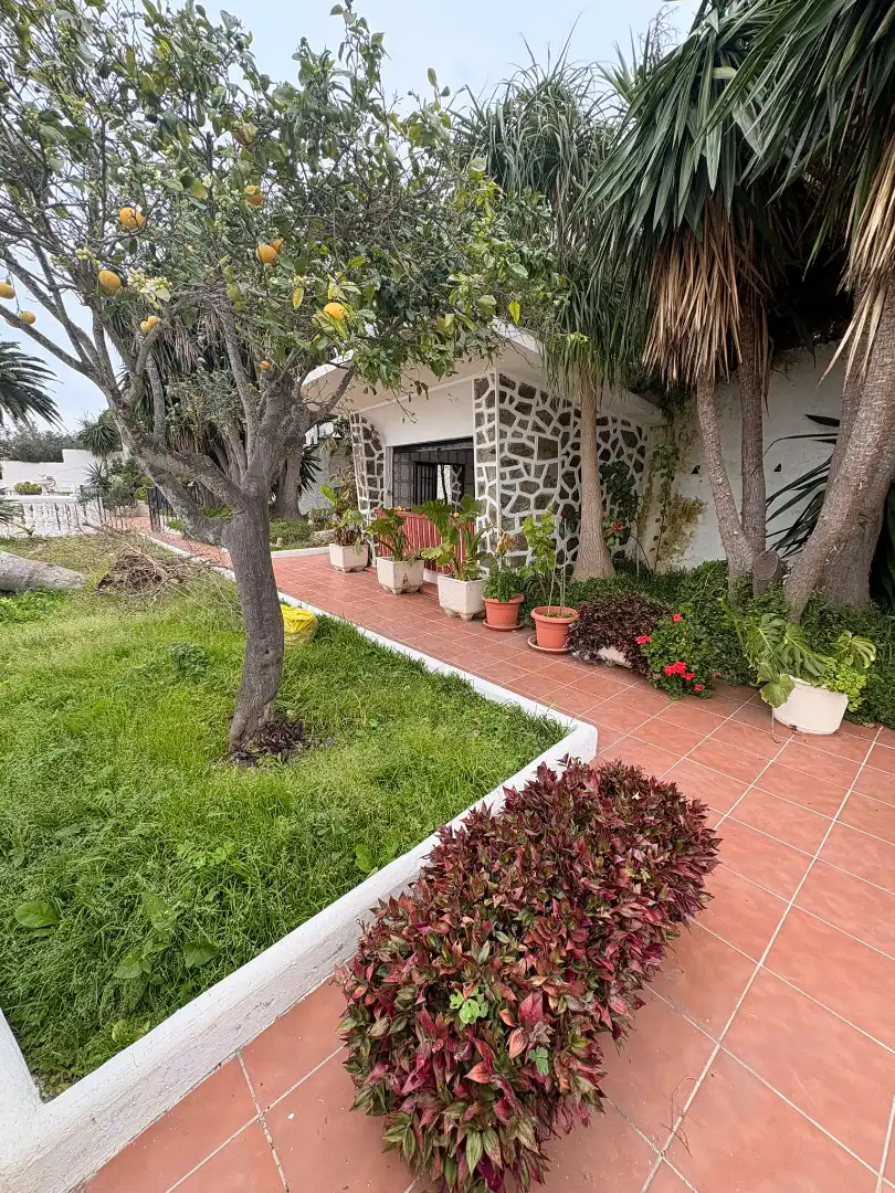 Vista exterior de Casa o xalet en venda en Ceuta amb Aire condicionat, Calefacció i Jardí privat