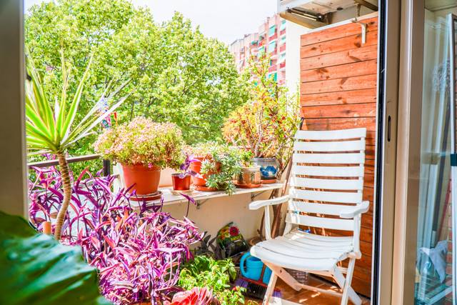 Piso en Venta en Plaça Mare de Déu de Montserrat en Centre