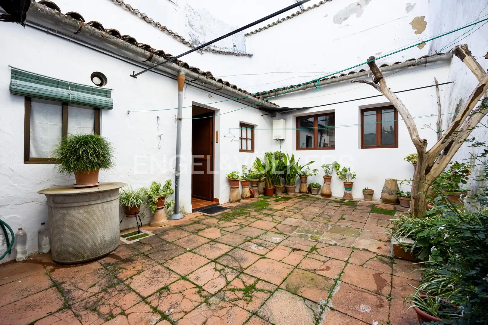 Vista exterior de Casa o chalet en venta en Grazalema con Calefacción y Balcón