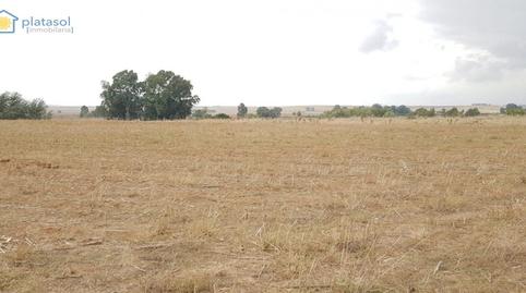 Foto 5 de Finca rústica en venda a Carretera Guillena, Guillena pueblo, Sevilla
