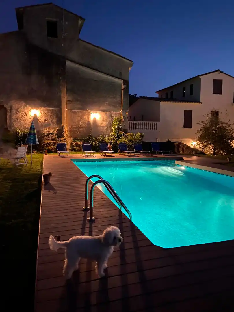 Piscina de Finca rústica en venda en Santa Cristina d'Aro amb Aire condicionat, Calefacció i Jardí privat