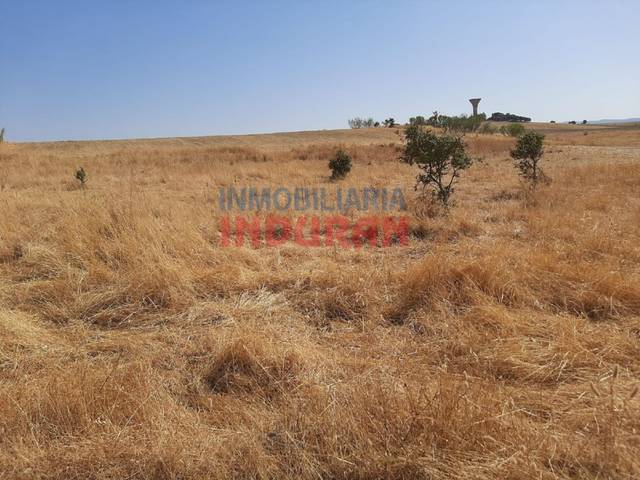 Terreno residencial en Venta en Peraleda de la Mata