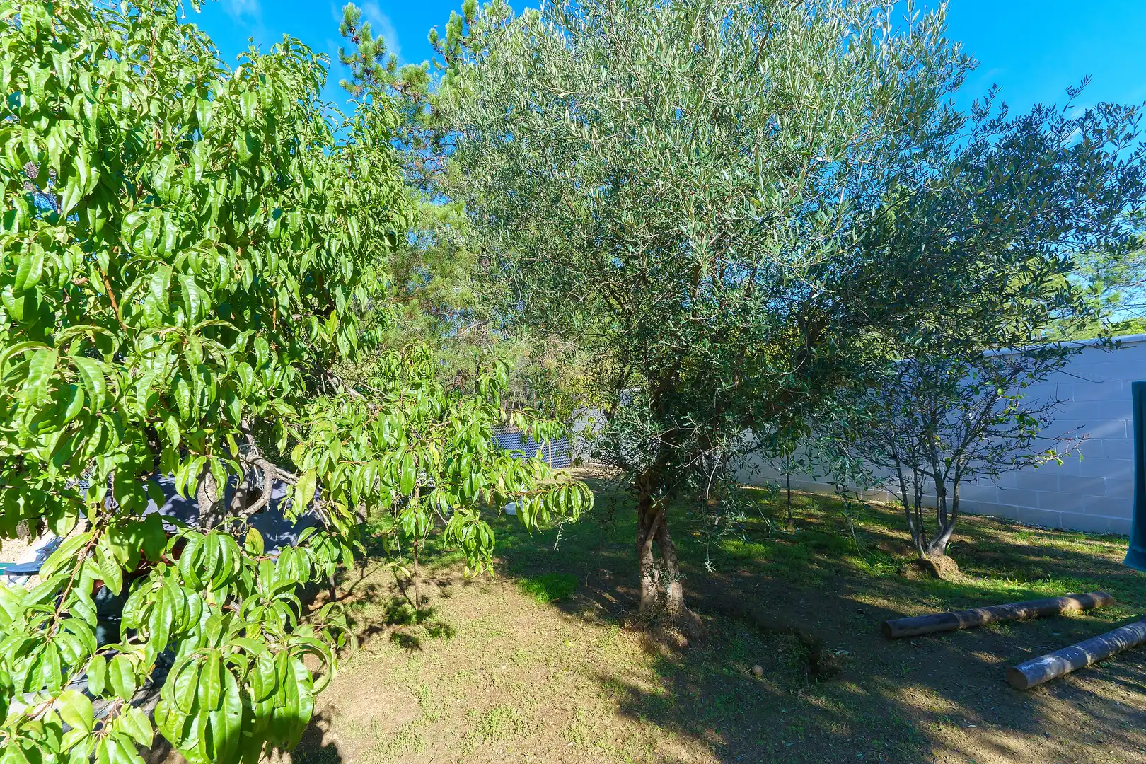 Finca rústica en venta en Villablanca