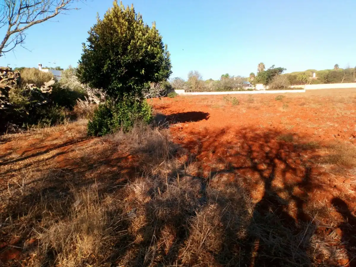 Finca rústica en venda en Conil de la Frontera