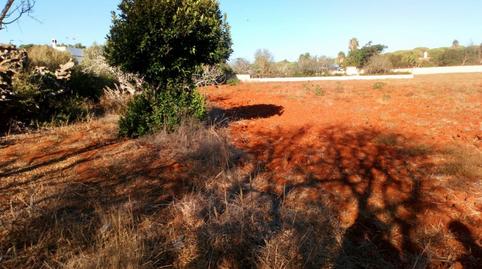 Foto 3 de Finca rústica en venda a Roche, Cádiz