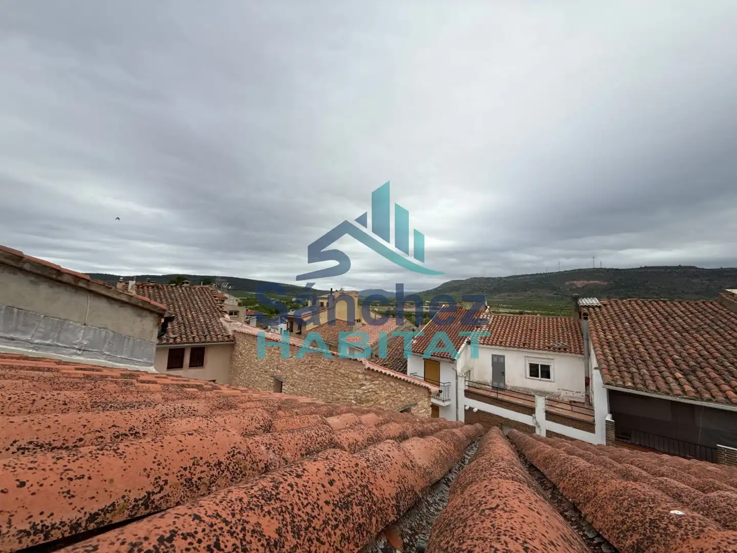 Vista exterior de Finca rústica en venta en Aras de los Olmos con Terraza